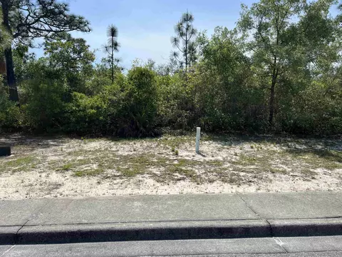 146 Anhinga Trl, Carrabelle, FL 32323 photo 4