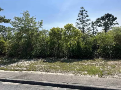 146 Anhinga Trl, Carrabelle, FL 32323 photo 7
