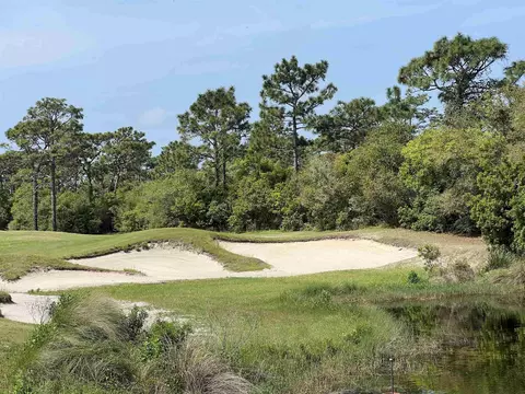 146 Anhinga Trl, Carrabelle, FL 32323 photo 19