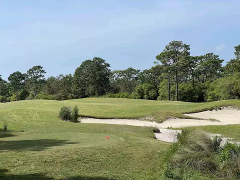 146 Anhinga Trl, Carrabelle, FL 32323 photo 9