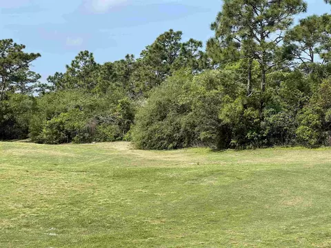 146 Anhinga Trl, Carrabelle, FL 32323 photo 21