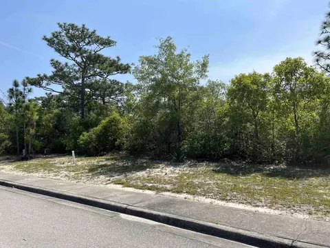 146 Anhinga Trl, Carrabelle, FL 32323 photo 6