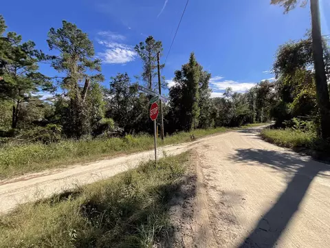 130 NE Cassia Dr, Lee, FL 32059 photo 37