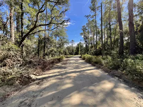 130 NE Cassia Dr, Lee, FL 32059 photo 35