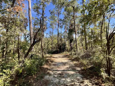 130 NE Cassia Dr, Lee, FL 32059 photo 19