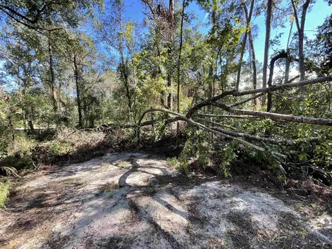 130 NE Cassia Dr, Lee, FL 32059 photo 23