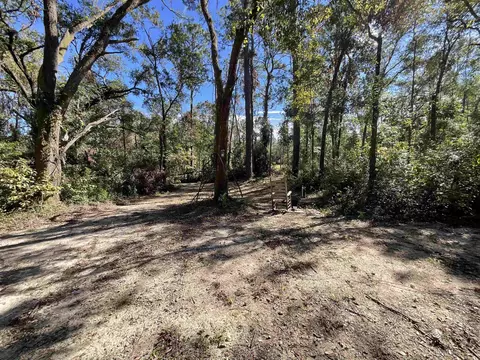 130 NE Cassia Dr, Lee, FL 32059 photo 29