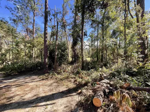 130 NE Cassia Dr, Lee, FL 32059 photo 21