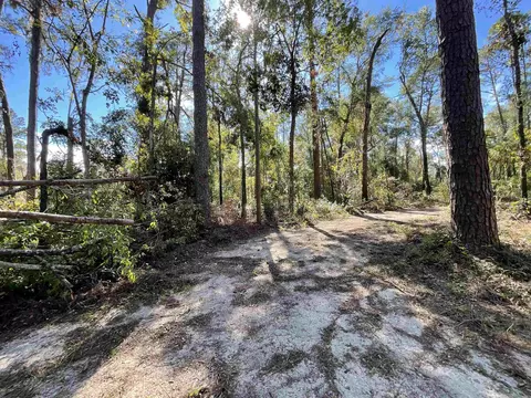 130 NE Cassia Dr, Lee, FL 32059 photo 24