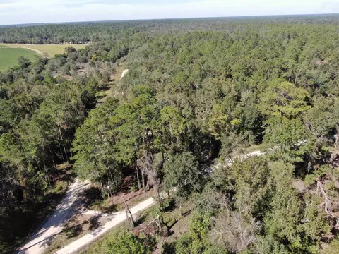 130 NE Cassia Dr, Lee, FL 32059 photo 7