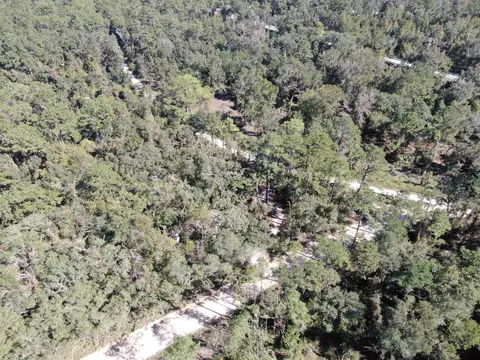 130 NE Cassia Dr, Lee, FL 32059 photo 3
