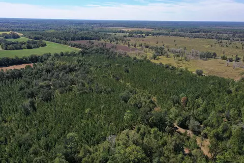 Nn Glen Julia Road, Quincy, FL 32351
