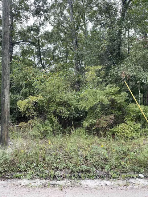 38 Renegade Road, Crawfordville, FL 32327