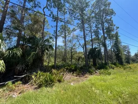 1406 NE Highway 51, Steinhatchee, FL 32359 photo 6