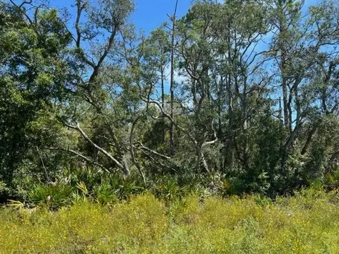 1406 NE Highway 51, Steinhatchee, FL 32359 photo 4