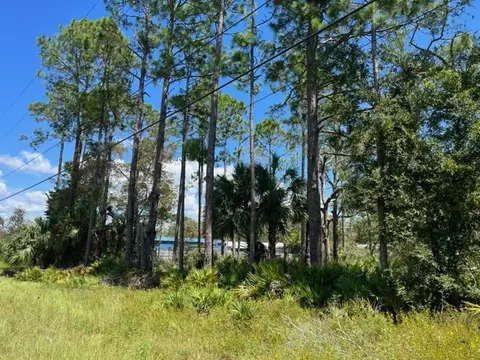 1406 NE Highway 51, Steinhatchee, FL 32359 photo 5