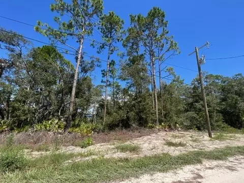 1406 NE Highway 51, Steinhatchee, FL 32359 photo 2