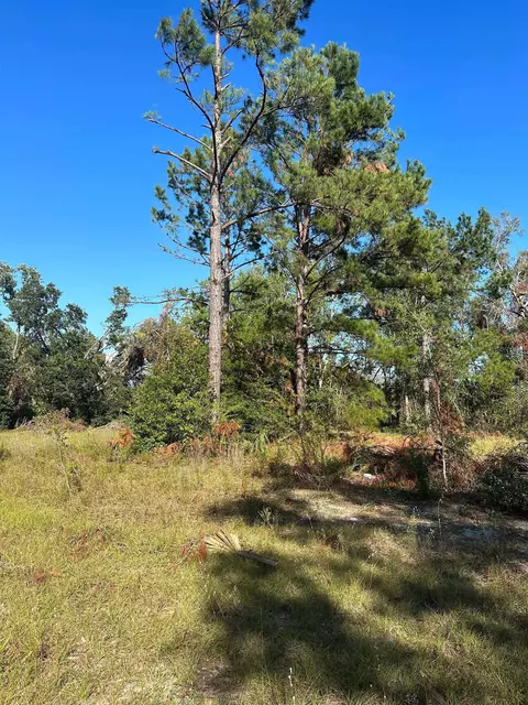 226 Noah Rd, Perry, FL 32347 photo 8