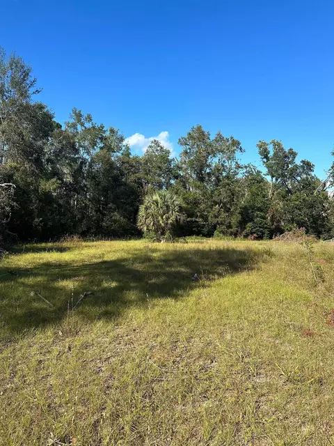 226 Noah Rd, Perry, FL 32347 photo 9