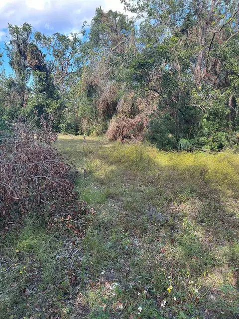 226 Noah Rd, Perry, FL 32347 photo 29