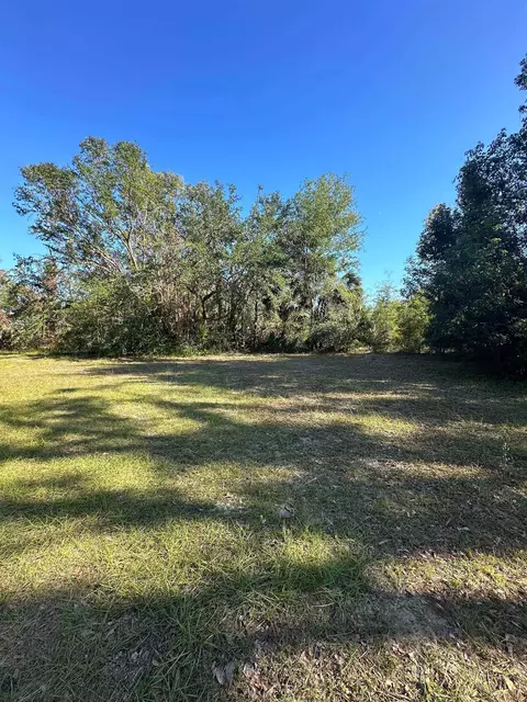 226 Noah Rd, Perry, FL 32347 photo 27