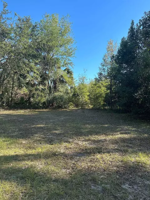 226 Noah Rd, Perry, FL 32347 photo 26