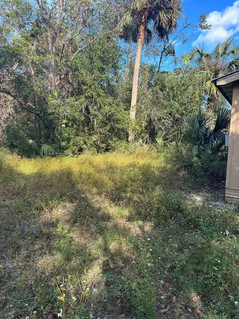 226 Noah Rd, Perry, FL 32347 photo 30