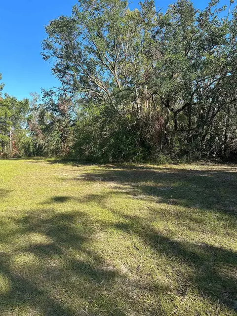 226 Noah Rd, Perry, FL 32347 photo 6
