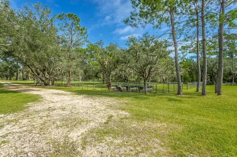 1945 Surf Rd #-, Panacea, FL 32346 photo 22
