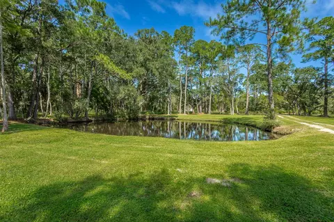 1945 Surf Rd #-, Panacea, FL 32346 photo 18