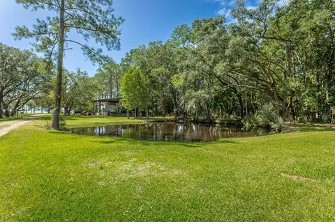 1945 Surf Rd #-, Panacea, FL 32346 photo 17