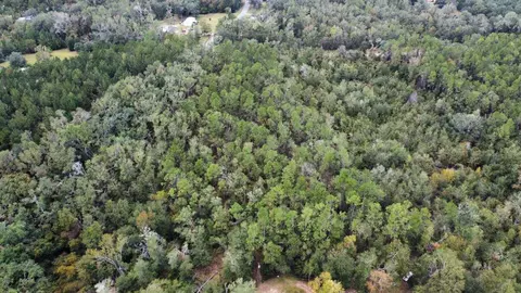 Vacant Ford Court, Madison, FL 32340 photo 8