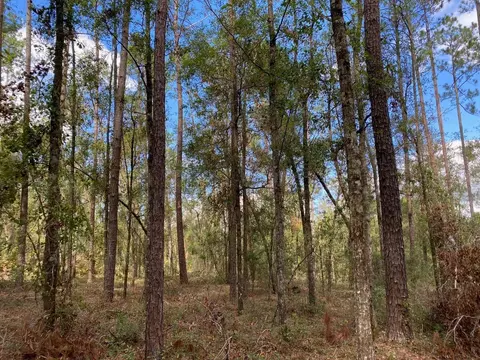 Vacant Ford Court, Madison, FL 32340 photo 4