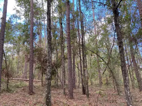 Vacant Ford Court, Madison, FL 32340 photo 6