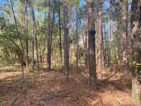 Vacant Ford Court, Madison, FL 32340 photo 5