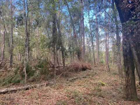 Vacant Ford Court, Madison, FL 32340 photo 7