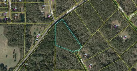 Vacant Ford Court, Madison, FL 32340 photo 9