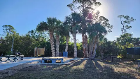 21354 Osprey Cir, Keaton Beach, FL 32348 photo 5