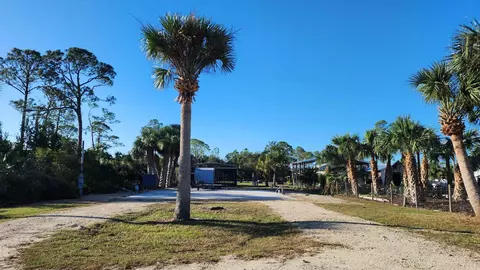 21354 Osprey Cir, Keaton Beach, FL 32348 photo 3