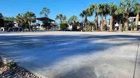 21354 Osprey Cir, Keaton Beach, FL 32348 photo 6