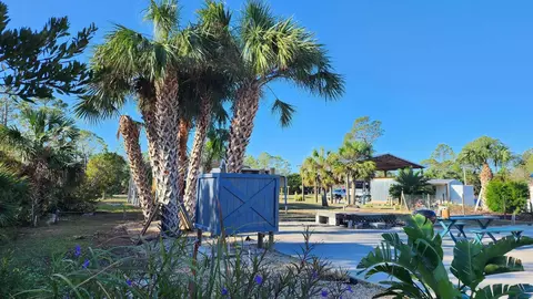 21354 Osprey Cir, Keaton Beach, FL 32348 photo 9
