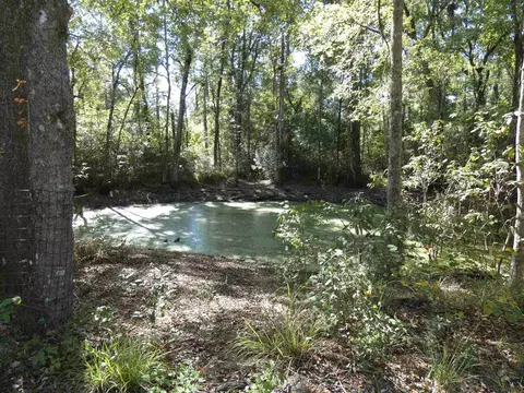tbd Namon Spears Rd, Crawfordville, FL 32327