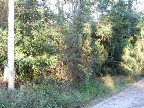 nn Chipola Street #-, Panacea, FL 32346