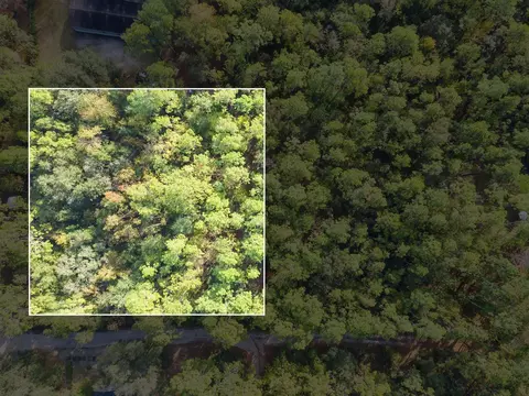 8364 Wild Berry Ln, Tallahassee, FL 32305