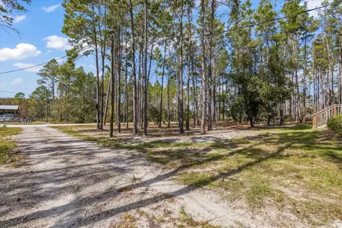 1316 Oak Pond Cir, Steinhatchee, FL 32359 photo 21