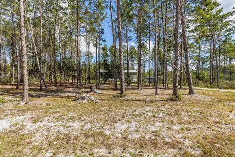 1316 Oak Pond Cir, Steinhatchee, FL 32359 photo 22