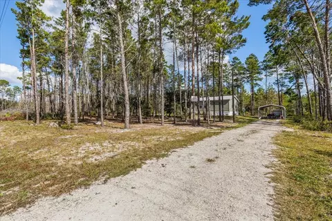 1316 Oak Pond Cir, Steinhatchee, FL 32359 photo 18