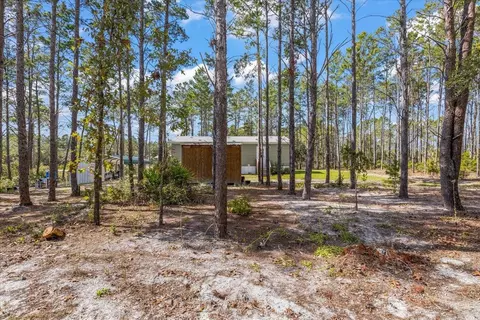 1316 Oak Pond Cir, Steinhatchee, FL 32359 photo 27