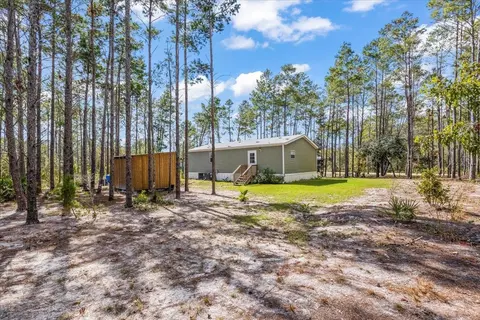 1316 Oak Pond Cir, Steinhatchee, FL 32359 photo 2