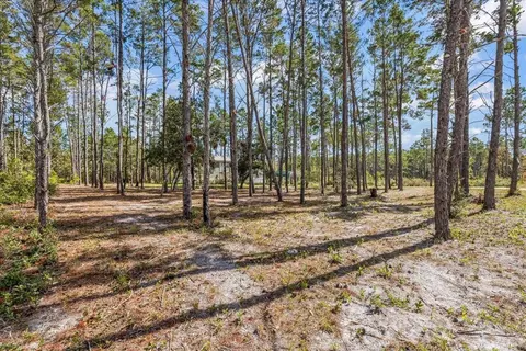1316 Oak Pond Cir, Steinhatchee, FL 32359 photo 20